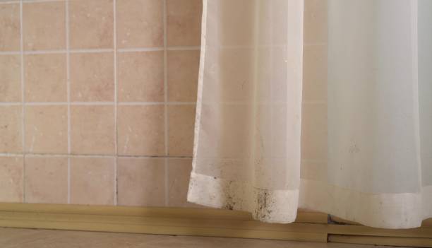 Biohazard Mold Removal in Prescott, AZ