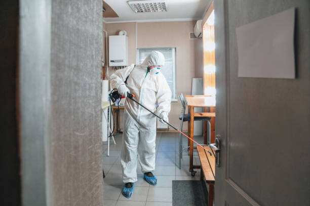 Best HVAC Mold Inspection and Cleaning  in Prescott, AZ
