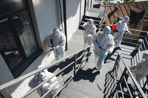 Best Post-Remediation Verification Testing  in Prescott, AZ