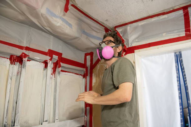 Best Mold Documentation for Insurance Claims  in Prescott, AZ