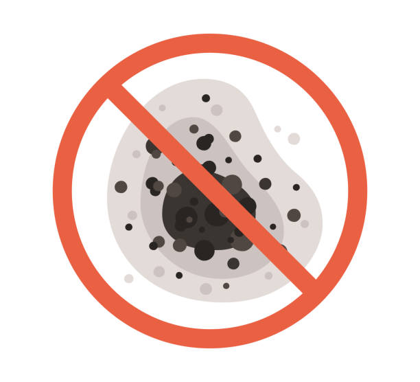 Trusted Prescott, AZ Mold Removal Experts