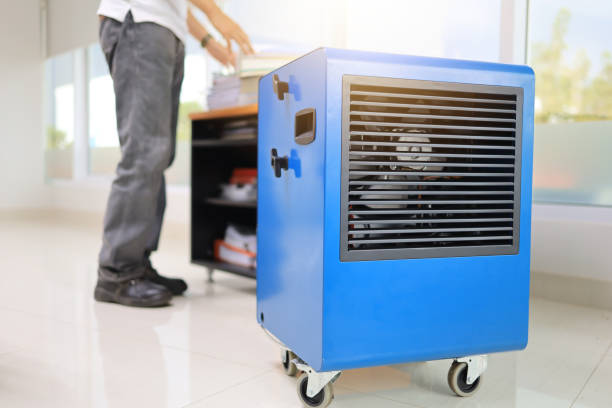 Best Air Quality Testing for Mold Spores  in Prescott, AZ