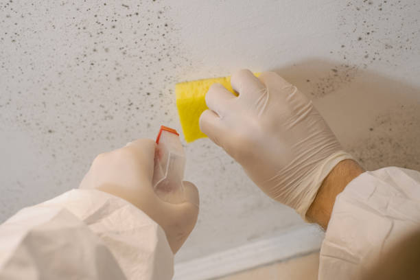 Best Indoor Air Quality Assessment  in Prescott, AZ
