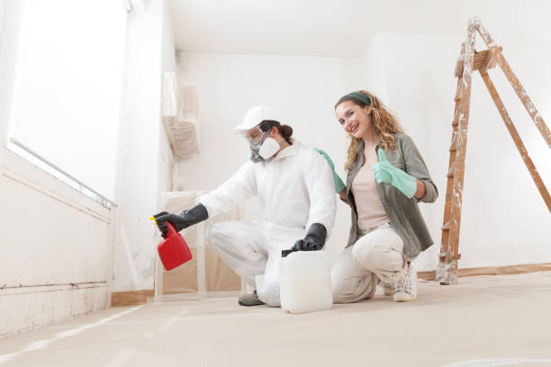 Best Crawl Space Mold Remediation  in Prescott, AZ